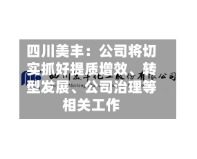 四川美丰：公司将切实抓好提质增效	、转型发展、公司治理等相关工作-第2张图片