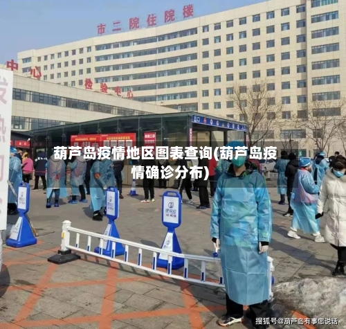 葫芦岛疫情地区图表查询(葫芦岛疫情确诊分布)