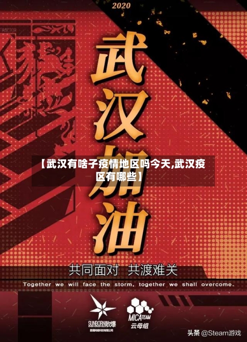 【武汉有啥子疫情地区吗今天,武汉疫区有哪些】