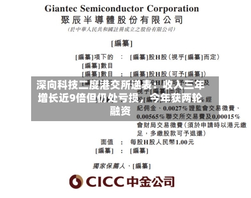 深向科技二度港交所递表：收入三年增长近9倍但仍处亏损，今年获两轮融资-第3张图片