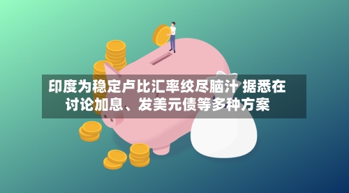 印度为稳定卢比汇率绞尽脑汁 据悉在讨论加息	、发美元债等多种方案-第2张图片