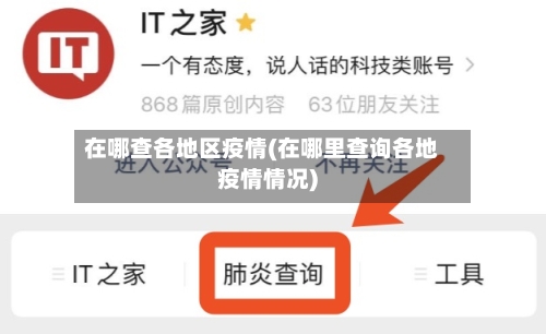 在哪查各地区疫情(在哪里查询各地疫情情况)