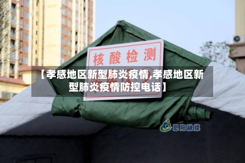 【孝感地区新型肺炎疫情,孝感地区新型肺炎疫情防控电话】-第2张图片
