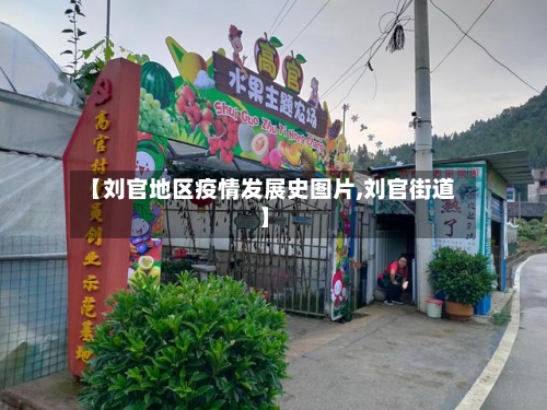 【刘官地区疫情发展史图片,刘官街道】