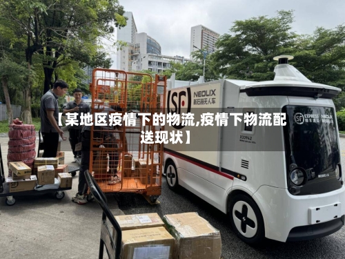 【某地区疫情下的物流,疫情下物流配送现状】