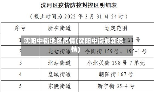 沈阳中街地区疫情(沈阳中街最新疫情)