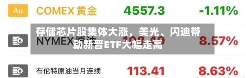 存储芯片股集体大涨	，美光	、闪迪带动新晋ETF大幅走高-第3张图片