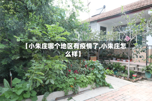 【小朱庄哪个地区有疫情了,小朱庄怎么样】-第2张图片