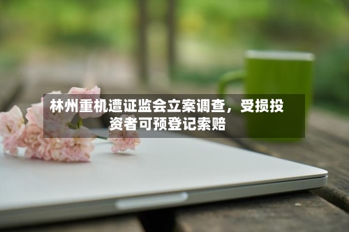 林州重机遭证监会立案调查，受损投资者可预登记索赔-第2张图片