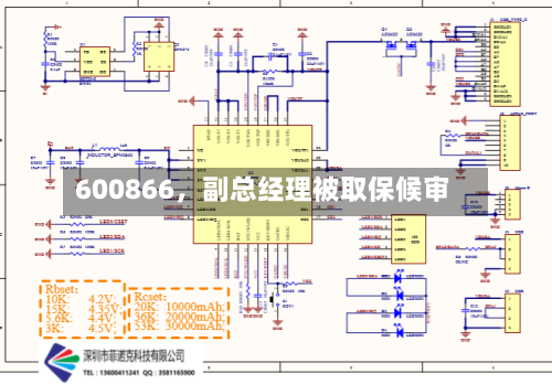 600866，副总经理被取保候审-第3张图片