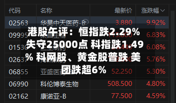 港股午评：恒指跌2.29%失守25000点 科指跌1.49% 科网股	、黄金股普跌 美团跌超6%-第2张图片