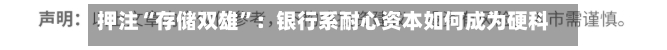 押注“存储双雄”：银行系耐心资本如何成为硬科技背后推手？-第3张图片