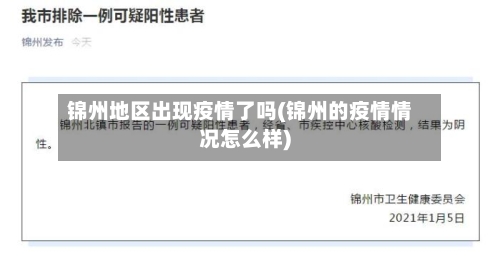 锦州地区出现疫情了吗(锦州的疫情情况怎么样)-第3张图片