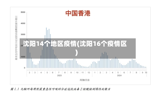 沈阳14个地区疫情(沈阳16个疫情区)