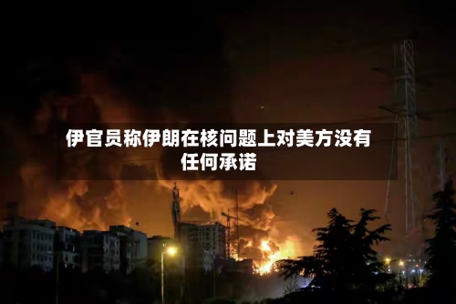伊官员称伊朗在核问题上对美方没有任何承诺-第2张图片
