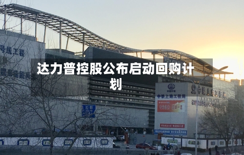达力普控股公布启动回购计划-第2张图片