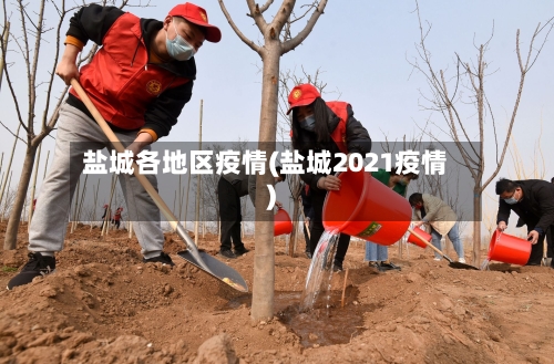 盐城各地区疫情(盐城2021疫情)-第2张图片