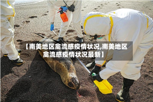 【南美地区禽流感疫情状况,南美地区禽流感疫情状况最新】-第2张图片