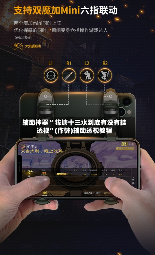 辅助神器“ 钱塘十三水到底有没有挂透视	”(作弊)辅助透视教程-第3张图片