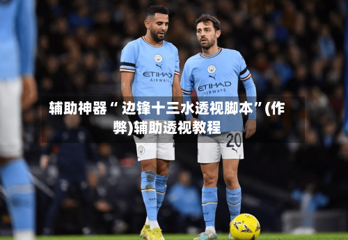 辅助神器“ 边锋十三水透视脚本”(作弊)辅助透视教程-第2张图片