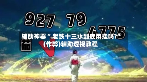 辅助神器“ 老铁十三水到底用挂吗?	”(作弊)辅助透视教程-第2张图片