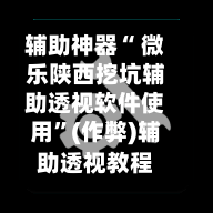 辅助神器“ 微乐陕西挖坑辅助透视软件使用	”(作弊)辅助透视教程-第2张图片