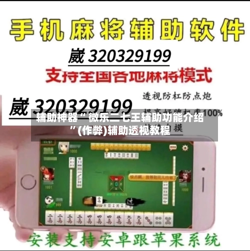 辅助神器“ 微乐二七王辅助功能介绍	”(作弊)辅助透视教程-第2张图片