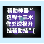 辅助神器“ 边锋十三水作弊透视开挂辅助挂”(作弊)辅助透视教程-第3张图片