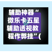 辅助神器“ 微乐卡五星辅助透视教程作弊挂	”(作弊)辅助透视教程-第2张图片