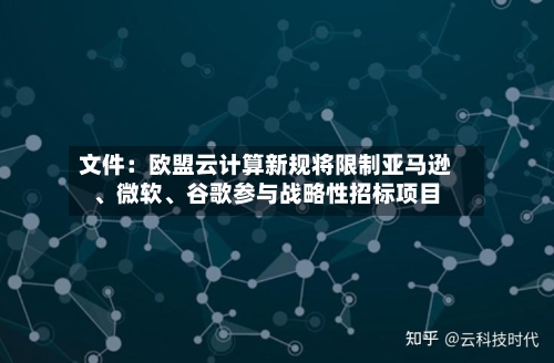 文件：欧盟云计算新规将限制亚马逊	、微软、谷歌参与战略性招标项目-第2张图片