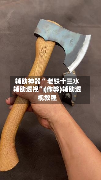 辅助神器“ 老铁十三水辅助透视”(作弊)辅助透视教程-第2张图片