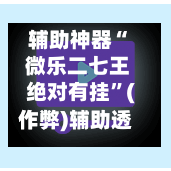 辅助神器“ 微乐二七王绝对有挂”(作弊)辅助透视教程