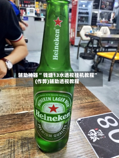 辅助神器“ 钱塘13水透视挂机教程	”(作弊)辅助透视教程-第3张图片
