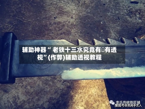 辅助神器“ 老铁十三水究竟有沒有透视”(作弊)辅助透视教程-第2张图片