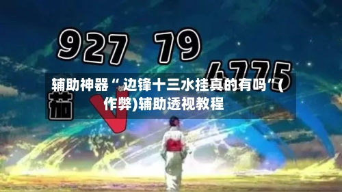辅助神器“ 边锋十三水挂真的有吗”(作弊)辅助透视教程-第2张图片