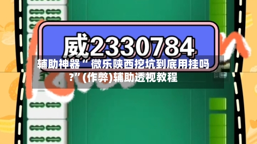 辅助神器“ 微乐陕西挖坑到底用挂吗?”(作弊)辅助透视教程-第2张图片
