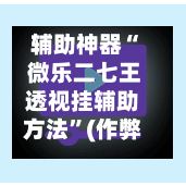 辅助神器“ 微乐二七王透视挂辅助方法”(作弊)辅助透视教程-第2张图片