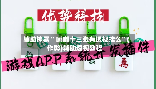 辅助神器“ 嘟嘟十三张有透视挂么”(作弊)辅助透视教程-第2张图片