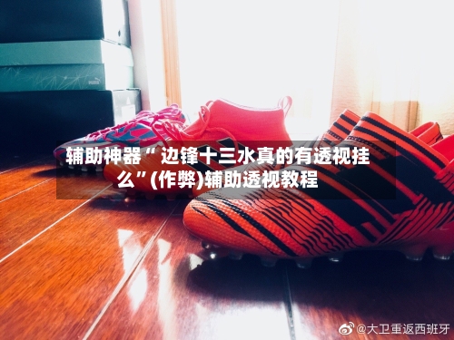 辅助神器“ 边锋十三水真的有透视挂么”(作弊)辅助透视教程-第2张图片
