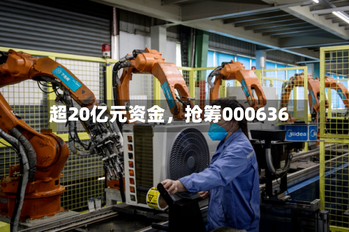 超20亿元资金	，抢筹000636-第3张图片