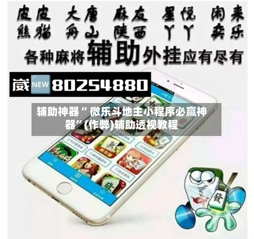 辅助神器“ 微乐斗地主小程序必赢神器	”(作弊)辅助透视教程-第3张图片
