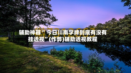 辅助神器“ 今日川南字牌到底有没有挂透视”(作弊)辅助透视教程-第3张图片