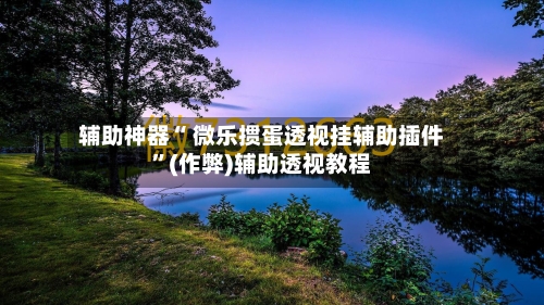 辅助神器“ 微乐掼蛋透视挂辅助插件”(作弊)辅助透视教程-第2张图片