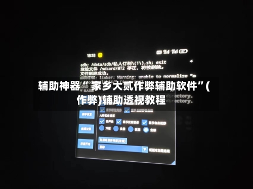 辅助神器“ 家乡大贰作弊辅助软件”(作弊)辅助透视教程-第3张图片