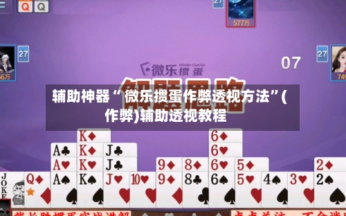 辅助神器“ 微乐掼蛋作弊透视方法”(作弊)辅助透视教程-第3张图片