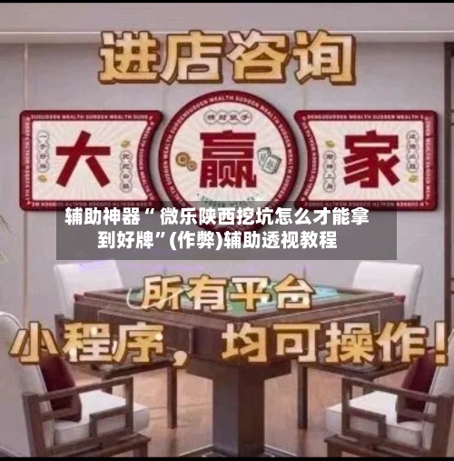 辅助神器“ 微乐陕西挖坑怎么才能拿到好牌	”(作弊)辅助透视教程-第2张图片