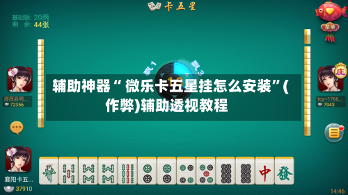 辅助神器“ 微乐卡五星挂怎么安装”(作弊)辅助透视教程-第2张图片