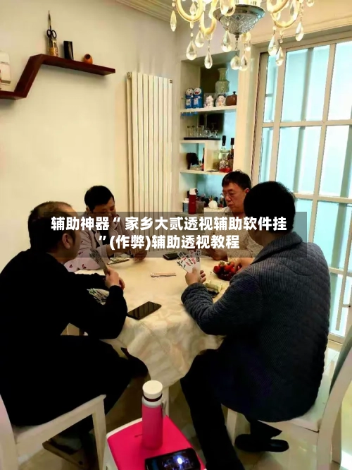 辅助神器“ 家乡大贰透视辅助软件挂”(作弊)辅助透视教程-第2张图片