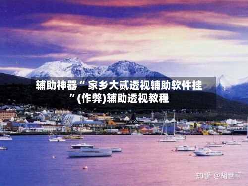辅助神器“ 家乡大贰透视辅助软件挂”(作弊)辅助透视教程