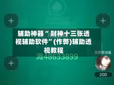 辅助神器“ 财神十三张透视辅助软件”(作弊)辅助透视教程-第2张图片